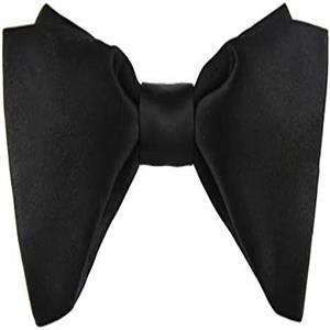 stylish bowtie 