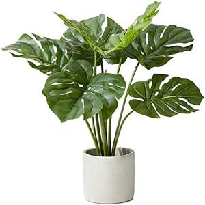 lifelike simulated plants 
