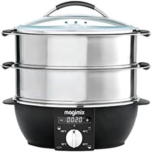 efficient electric steamer