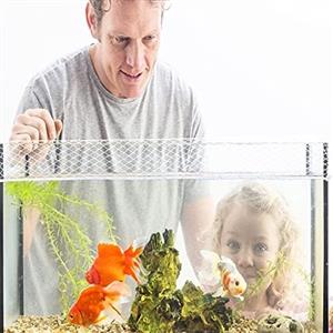 aquatic fish tank 