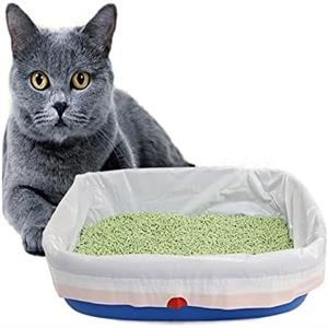 playful cat sandbag 