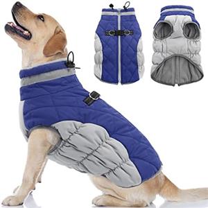 adorable pet clothing