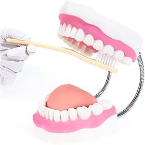 dental-grade dental materials