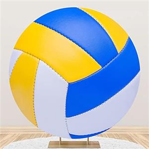 durable volleyball 