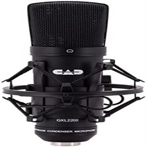 sensitive microphone 