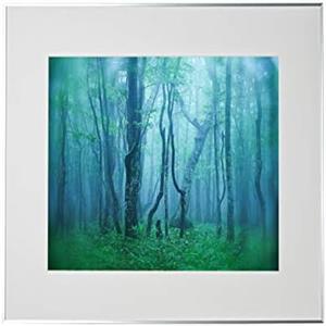 decorative picture frame