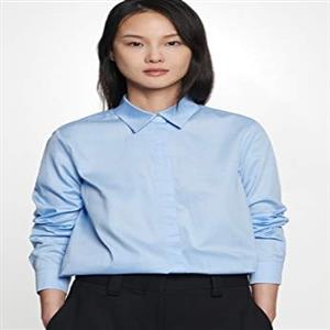 fashionable blouse 