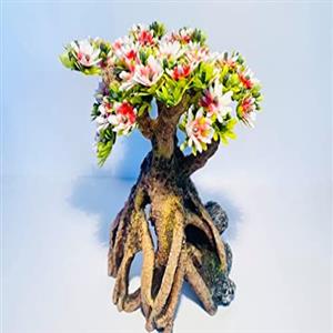 home furnishings and decorations 