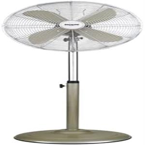 fan